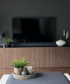Menlin TV Unit / Server